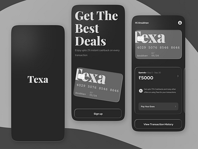 Texa Pay branding design figma graphic design illustration logo money ui ui design ux ux design vector