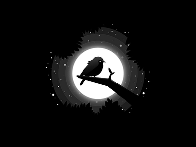 Birdy bird dark moon night stars