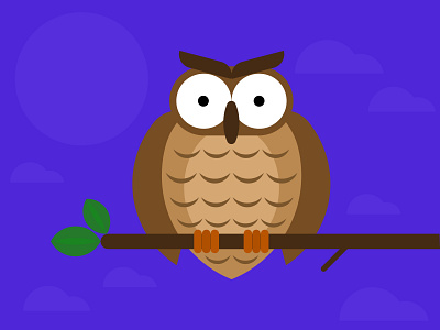 Little Owl digital art drawing flat design graphic design illustration illustration 2d vector