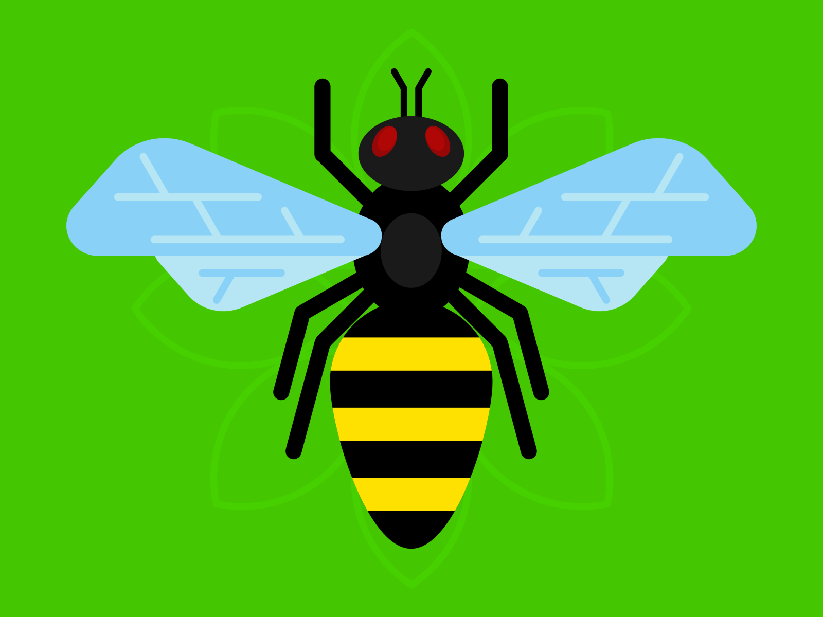 Bee by Marco Tulio on Dribbble