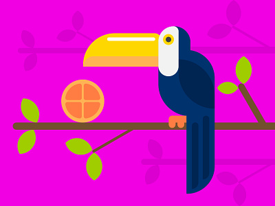 Toucan bird digital art flat design graphic design illustration 2d vector art vector graphics vector illustration