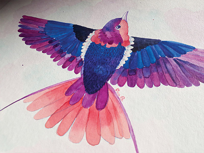 Purple Wings bird illustration painting watercolor wings