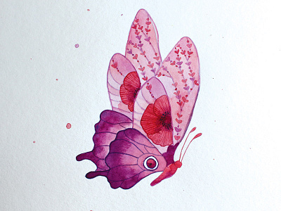 Watercolor Butterfly butterfly illustration painting pink watercolor