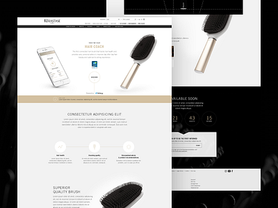 Hair Coach Landing Page - Desktop