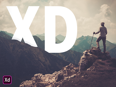Let's XD! adobe xd training training videos tutorials ui design ux design
