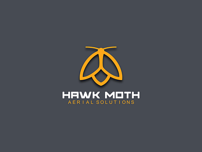 Moth graphic design logo vector