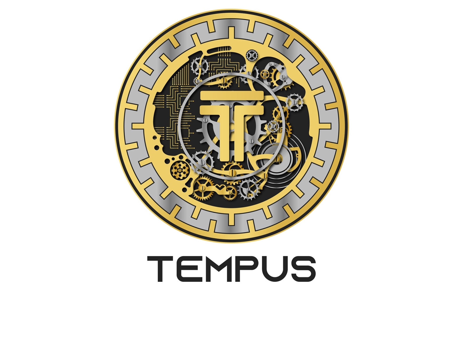 Tempus graphic design logo vector