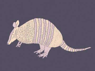 Armadillo