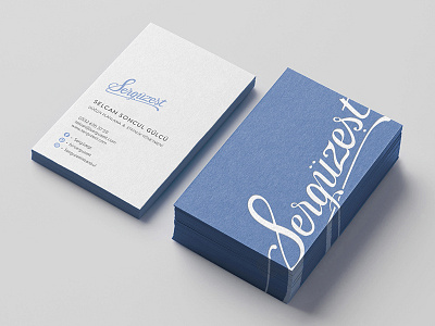 Serguzest business card brand branding business card design identity logo serguzest stationary