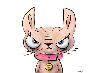 Joy The Sphynx Cat