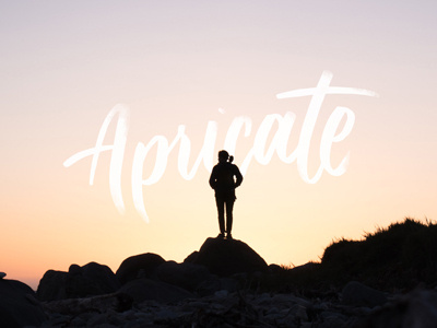 Apricate Dribbble collage lettering typography words