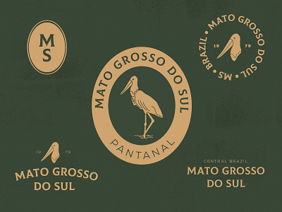 #01 | Mato Grosso do Sul bagde br brand brasil brazil design green icon illustrator logo retro states vector visual