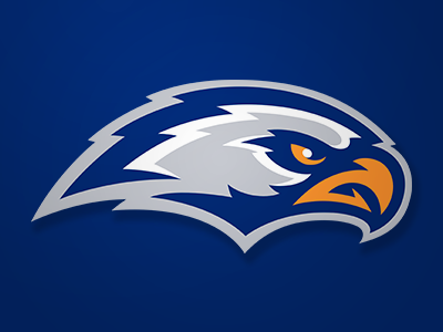 Eagles concept eagle hawk logo sports