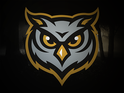 Owls concept hoot logo night owls sports