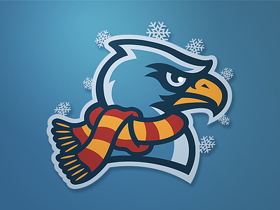 Winterhawks baseball hawks league minor scarf sports winter
