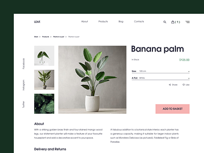 Leaf Shop card botanic card plants shop ui ux web