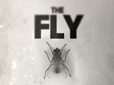 The Fly ver. 21 horror poster print