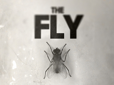 The Fly ver. 21