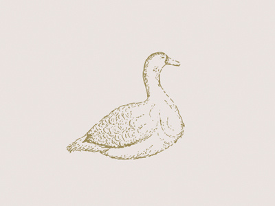 Lucy Goosey branding goose illustrastion