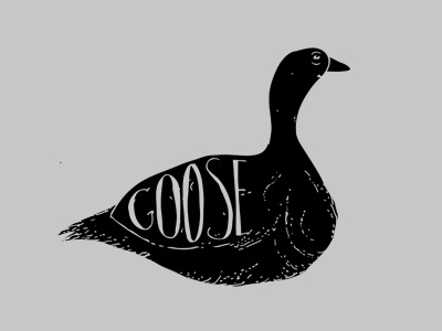 Goose goose illustration type