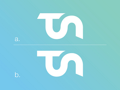 TS ligature ligature logo typography