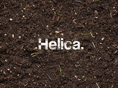 Helica. Brand design brand branding design graphic helica logo logotype