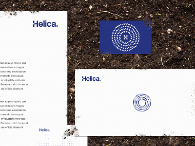 Helica. Brand design brand branding design graphic helica logo logotype