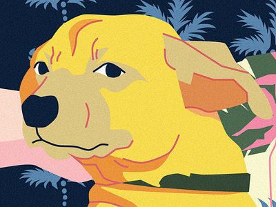 A Handsome Detail art cover art design dog dog illustration flat illustration illustration line art portrait vector