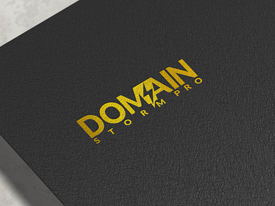 Domain Storm Pro Logo