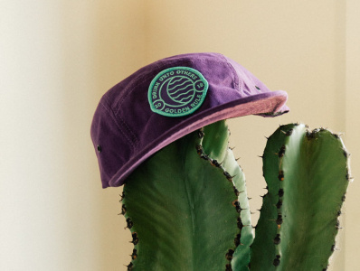Golden Rule - Apparel branding cactus california cocktails design hats logo patches san francisco