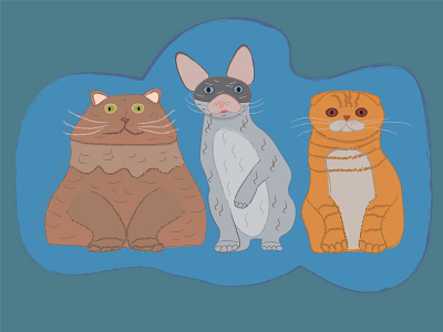 Cats cartoon cats design illustration vector
