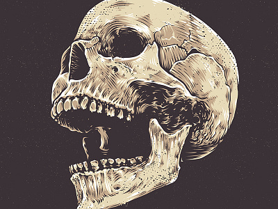 Anatomic Skull Art anatomic art dark details dirty graphic grunge hand drawn line art skull vecster vector