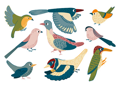 English garden birds birds cute english birds garden illustration magpie vector