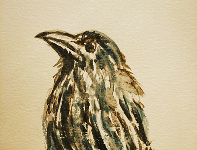 Crow art creative design illustration original watercolor watercolour