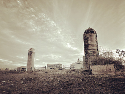 Minnesota Farm Silos canadianborder farm minnesota photography ranch sepiatone silos upnorth
