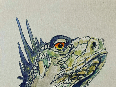 Iguana Watercolor art create design iguana reptile watercolor