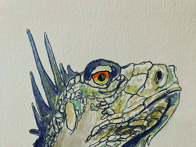 Iguana Watercolor