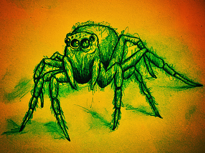 Spooky Spider art creative design drawing illustration spider