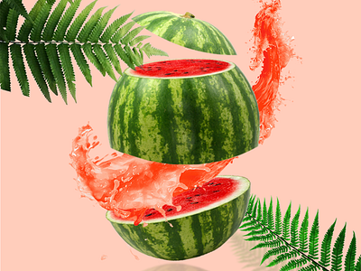 Water melon sliced branding design