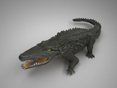 Crocodile 3d model animal biology crocodile