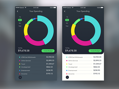 Budget Interface banking budget circle graph interface ui ux