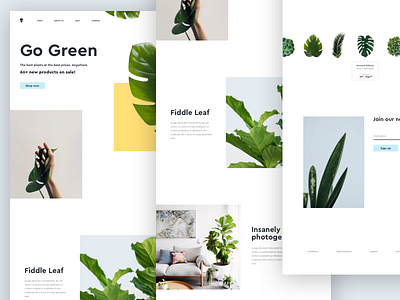 Plant Landing Page branding design landing landing page landing design landing page concept simple ui