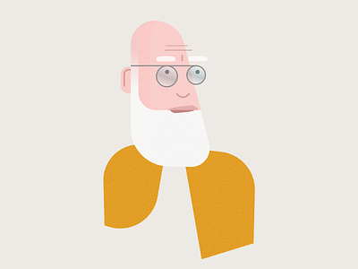 White Beard flat fun illustration minimal portrait portrait art portrait illustration simple