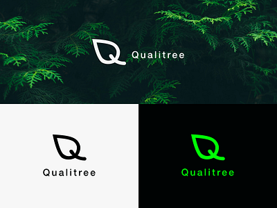 Qualitree Logo Concept branding design flat icon illustration logo logodesign simple ui vector web