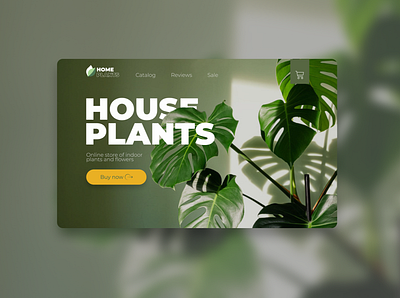 UX\UI | Website for an online home flowers store design webdesign website