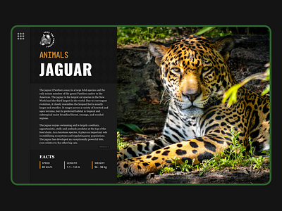 Save the Pantanal animals forest interaction design pantanal ui webdesign
