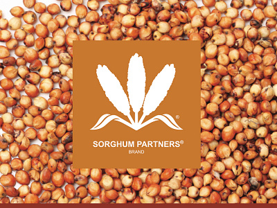 Sorghum agriculture branding logo sorghum