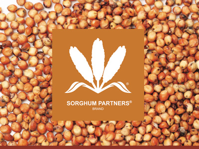 Sorghum