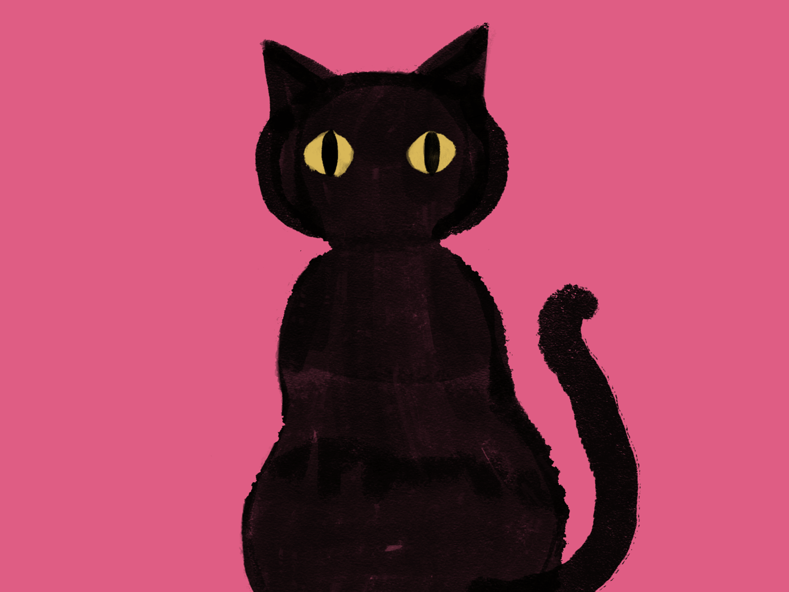 Cat Blink blackcat blink