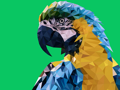 Macaw Low Poly Art artwork bookcover business card digital digital illustration ebook cover fiverr fiverr.com flyer freelance freelancer graphic design graphic designer graphics illustrator low poly lowpoly lowpolyart macaw vector